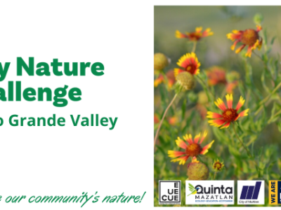 City Nature Challenge: Lower Rio Grande Valley 2024