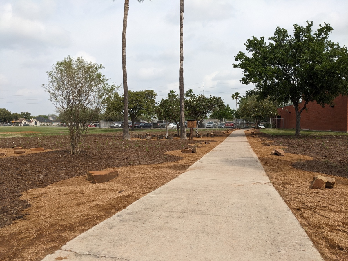 Celebrating a Tiny Forest at Sam Houston Elementary School in McAllen, Texas